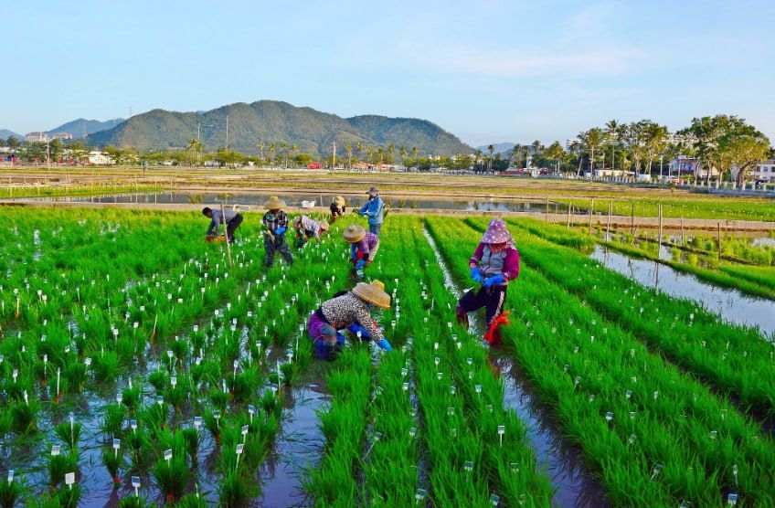 ��������� ������ �� ���� � ������������ ����: ��������� � ���������