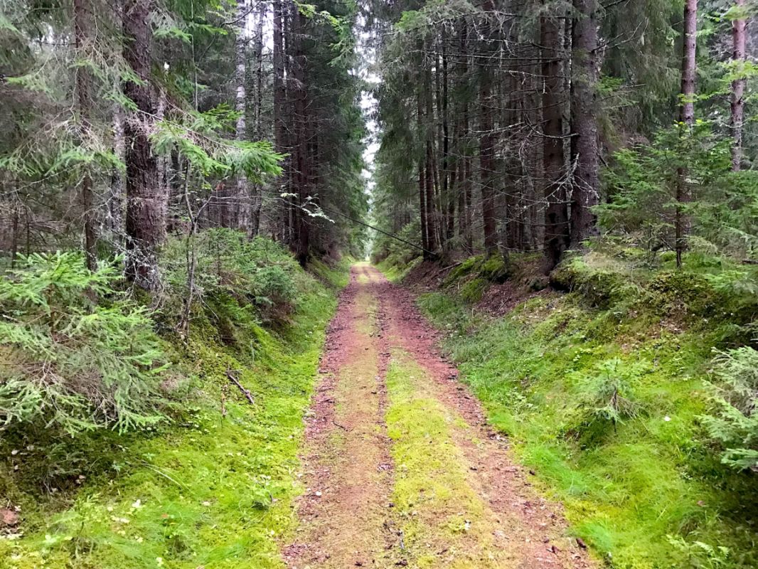 �������� ������������������� �� �������: ������� ����� � �������