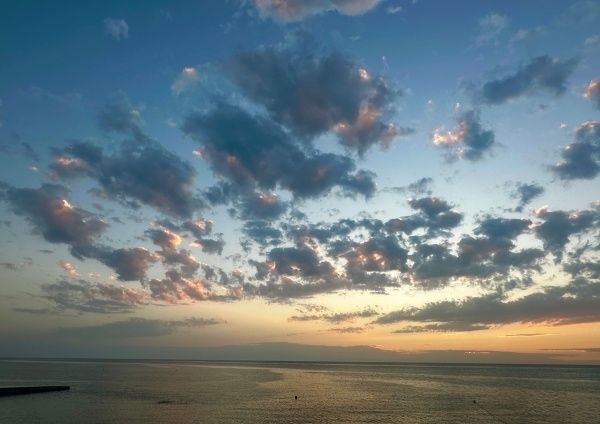 ����������� ���������������� ��������