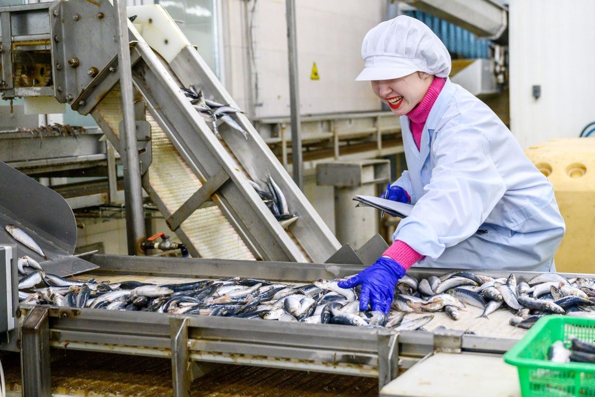 ������ ��������� � ��������: ������� ���� ����� ������� 6 ���������� ��������