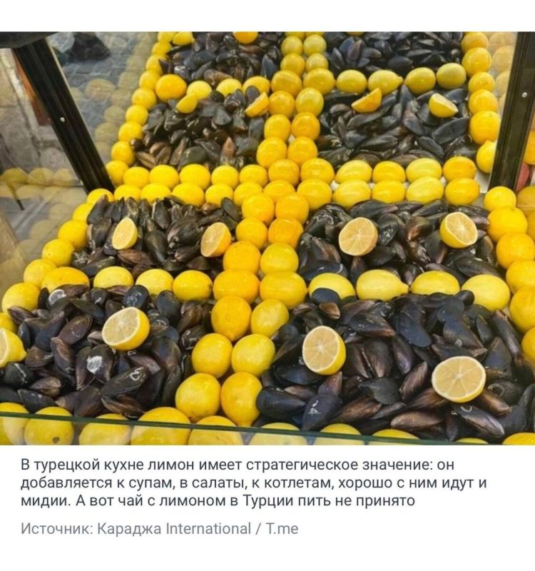 ������ ���������� ��������: ������ � ������ � ��� ����������� ��� ������