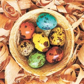 ������������ ������ ������� ���: ��������� � �������