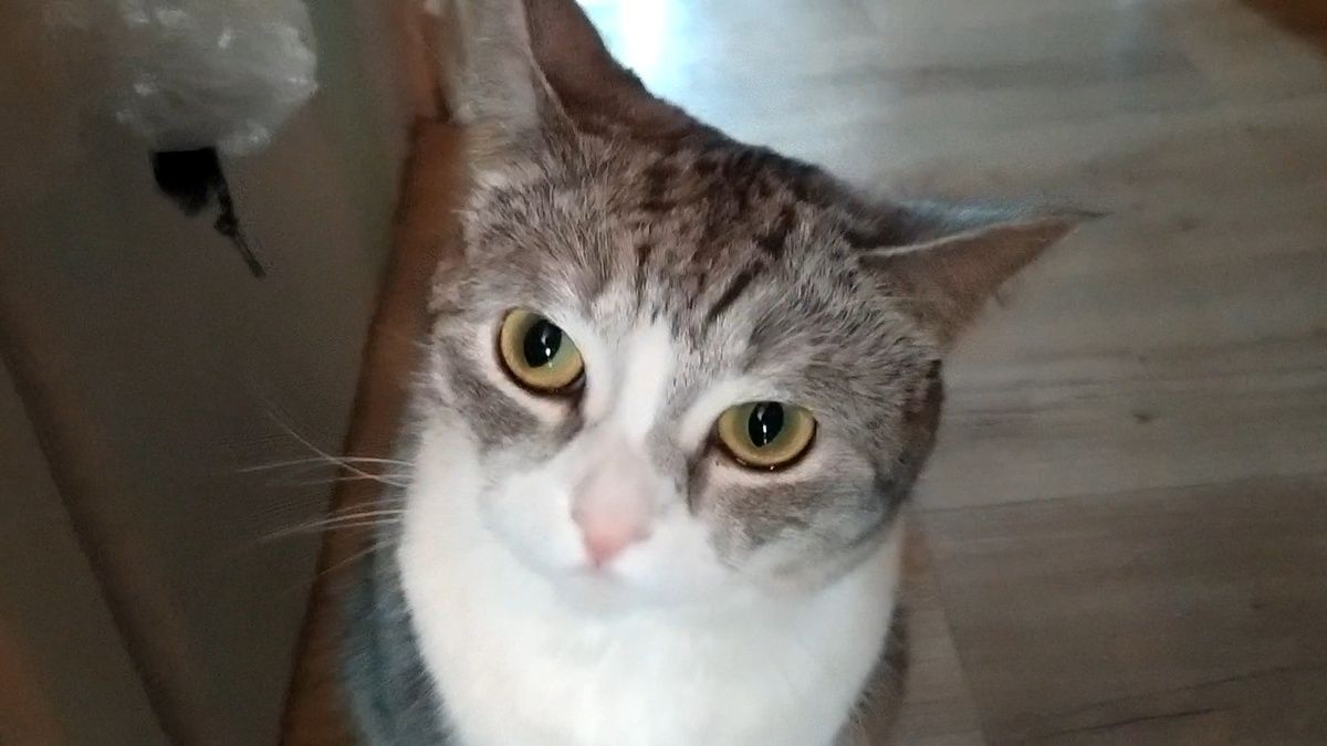 ��� ���� ������� ���� ����� �� ��������