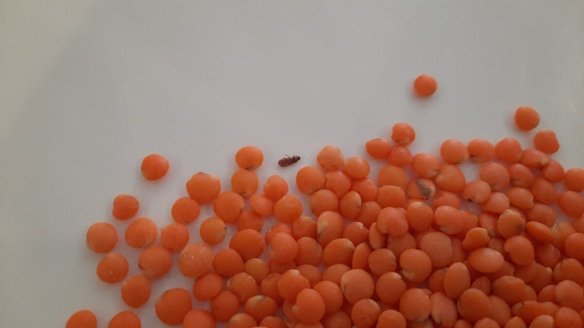 ��� ���������� � ������� � ������: ����������� ������ � ������