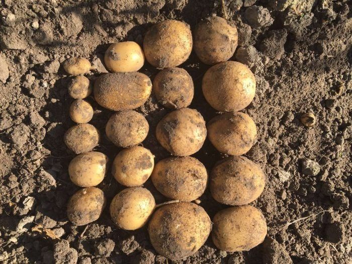 ��������� ���������: ��� ������� ���������� ������