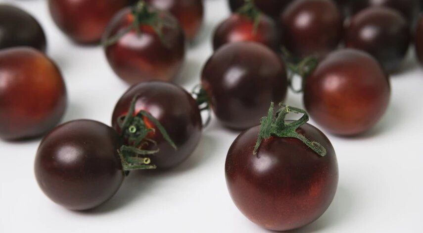 16 �������� ������� ������ ��������� ��� ��������� ������