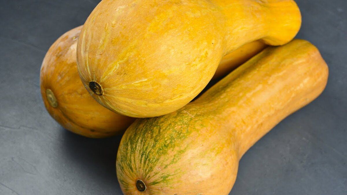 �����: ��������� ���������� ��� ���� ������� ����