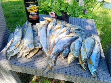 ��������������� ��������� �� ������� 6,5 ���� ������� ���� ��� ������������