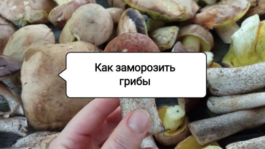 ��� ���������� ����� �� ����: ������� ���������� �������� � �������