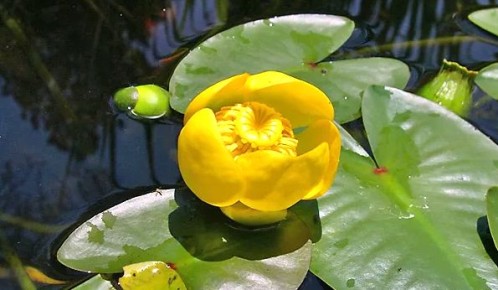 ������� �����: ���������� ������ �������� � ��������� ���������