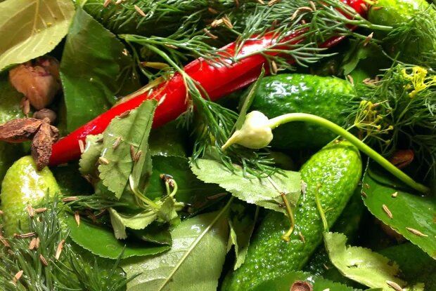 Огурцы на водке: сочетание остроты и вкуса