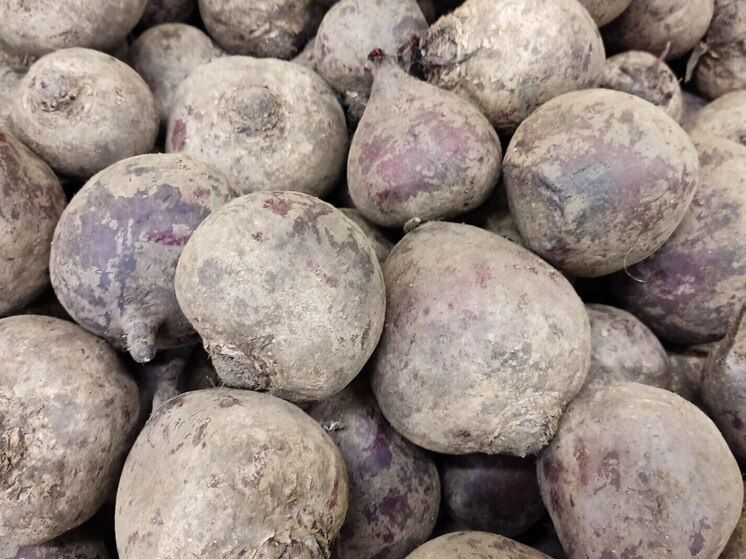 Зима на пороге: выбираем лучшие продукты для здоровья